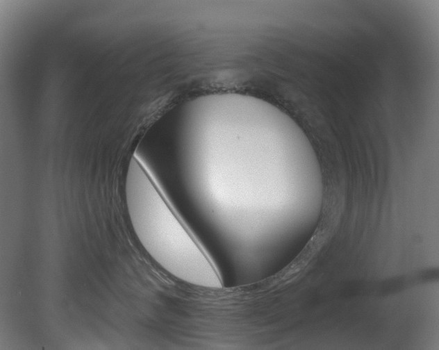 X0000081320624200701111030