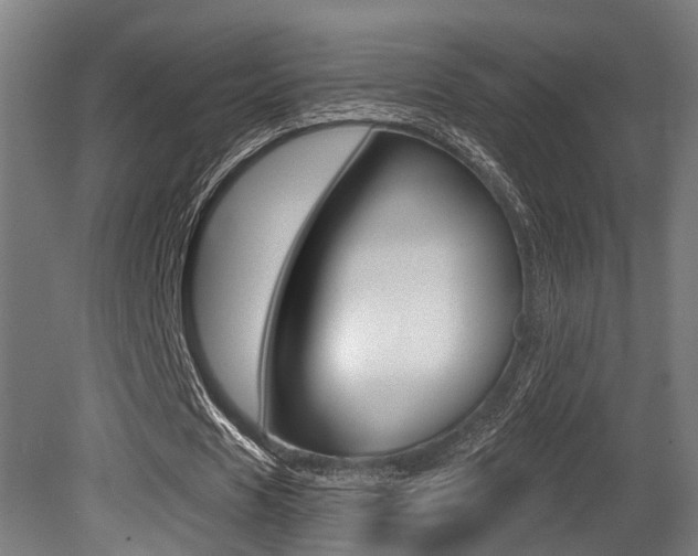 X0000081320625200701111029