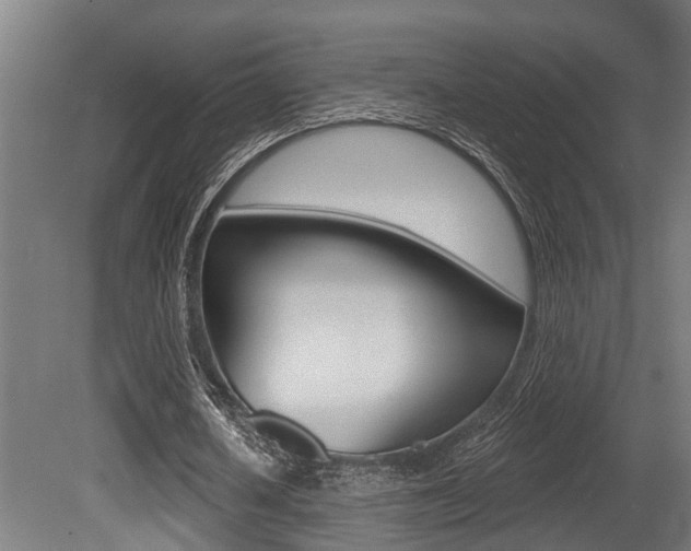 X0000081320626200701111029
