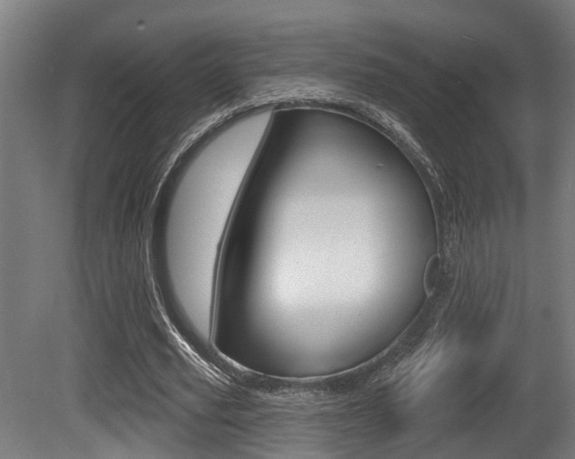 X0000081320629200701111029