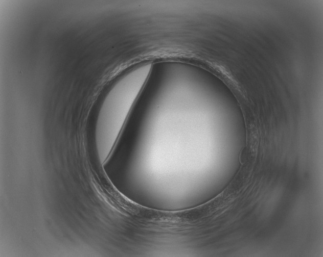 X0000081320631200701111029