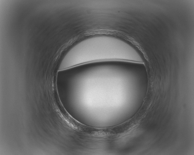 X0000081320633200701111029