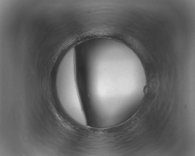 X0000081320635200701111029
