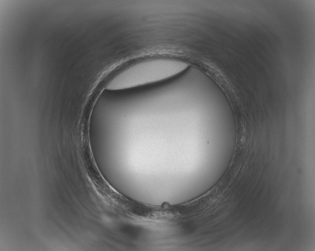 X0000081320636200701111029