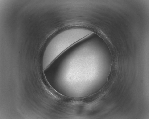 X0000081320637200701111029