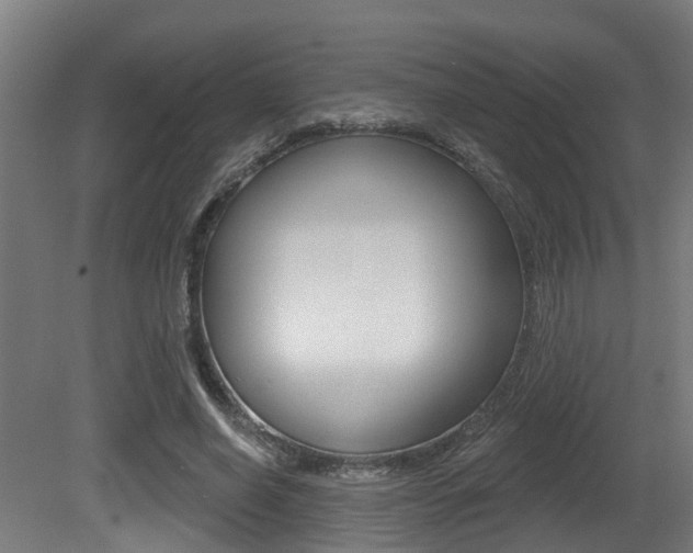 X0000081320638200701111029