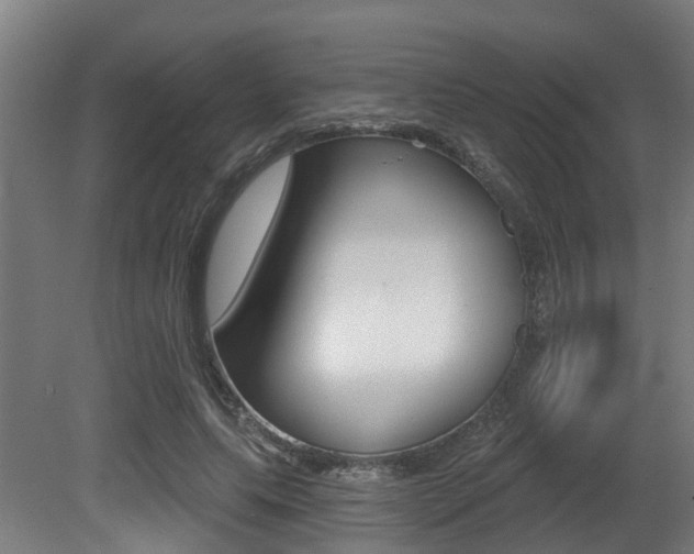 X0000081320639200701111029