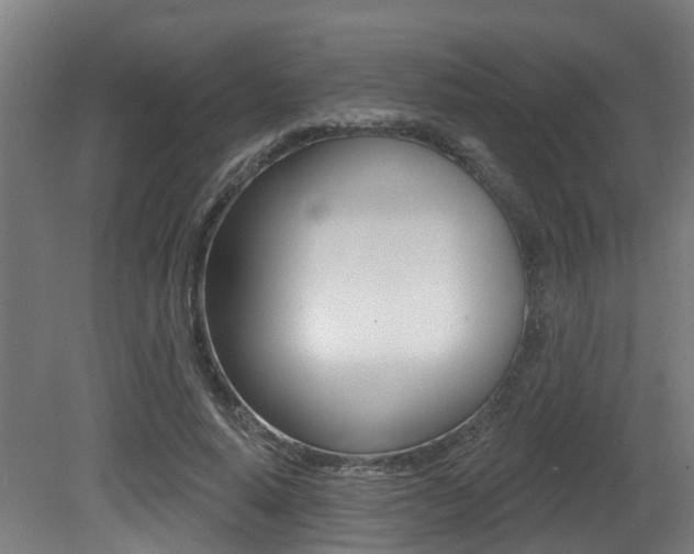 X0000081320640200701111029