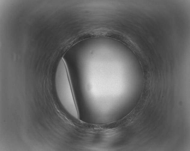 X0000081320641200701111029