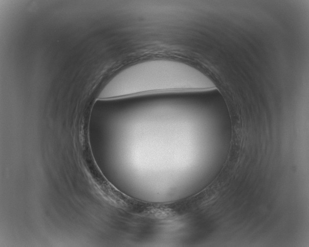 X0000081320642200701111029