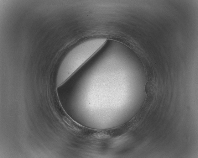 X0000081320644200701111030
