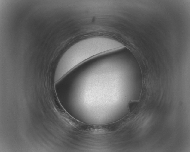 X0000081320645200701111030
