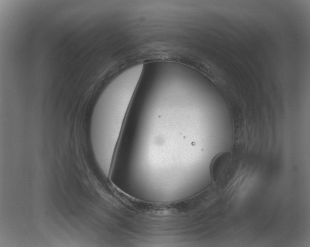 X0000081320646200701111030