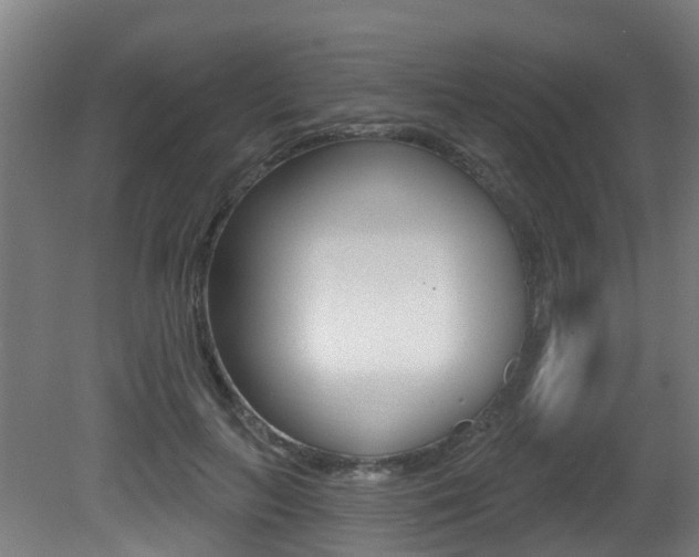 X0000081320647200701111030