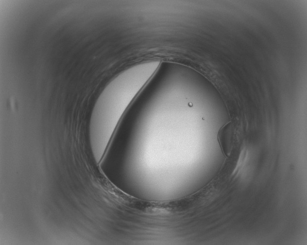 X0000081320649200701111030