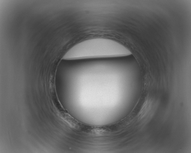 X0000081320650200701111030