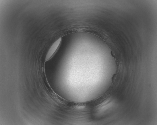 X0000081320651200701111030