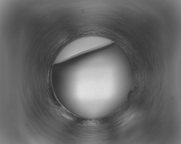 X0000081320652200701111030