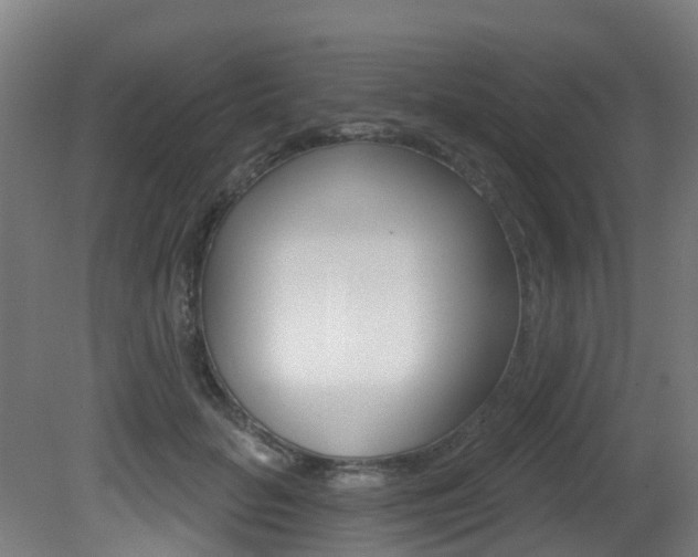 X0000081320653200701111030