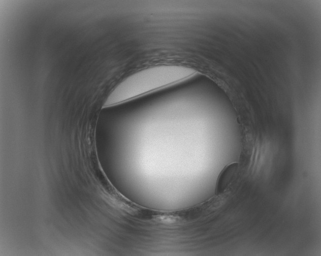 X0000081320654200701111030