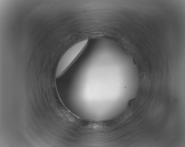 X0000081320655200701111030