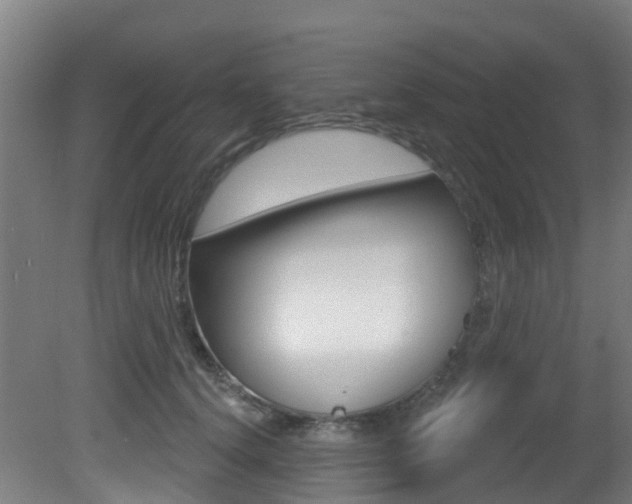 X0000081320656200701111030
