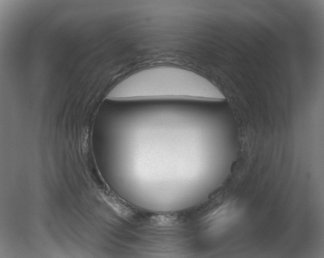 X0000081320660200701111030