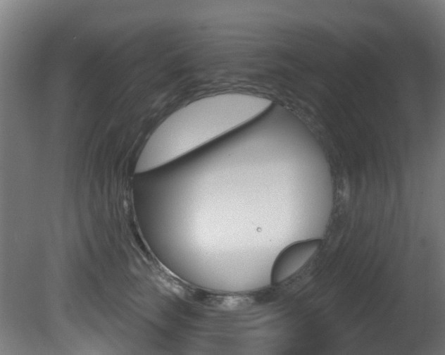 X0000081320663200701111030