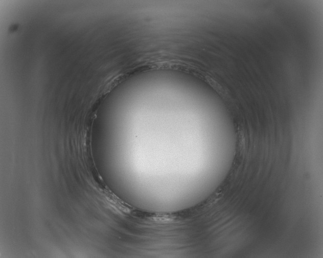X0000081320668200701111030