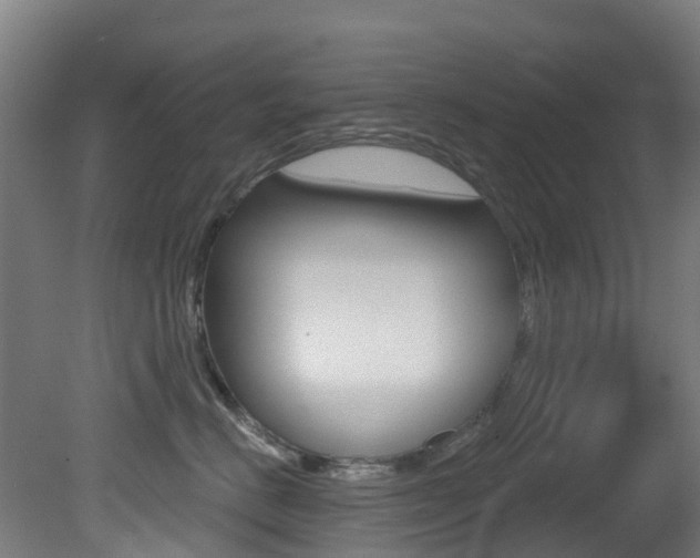 X0000081320670200701111030