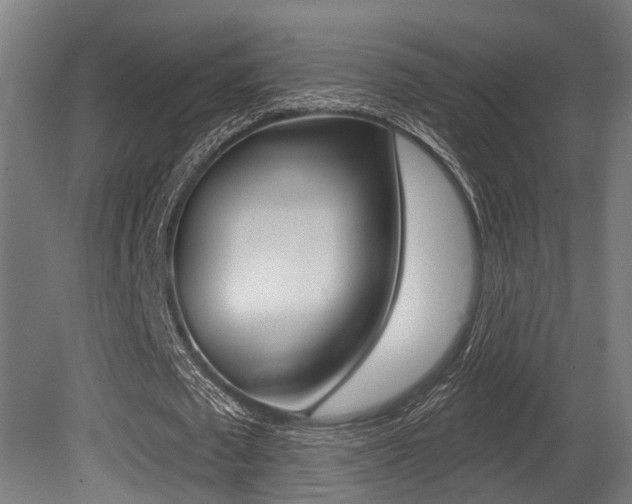 X0000081320673200701111029