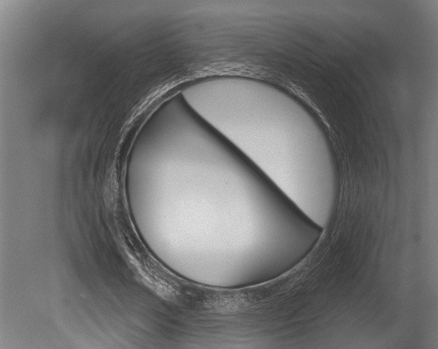 X0000081320674200701111029
