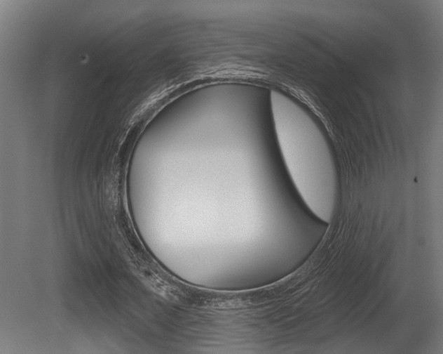 X0000081320675200701111029