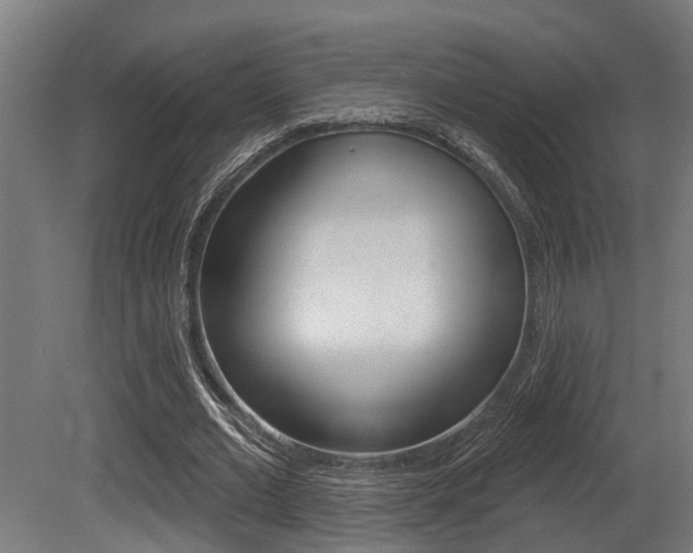 X0000081320677200701111029