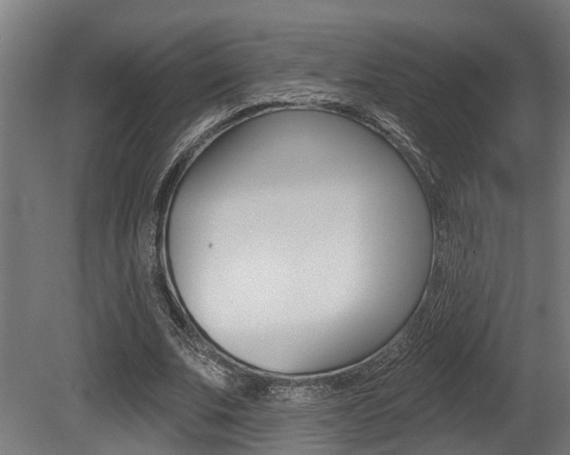 X0000081320679200701111029