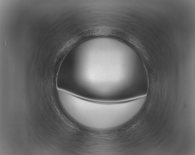 X0000081320681200701111029