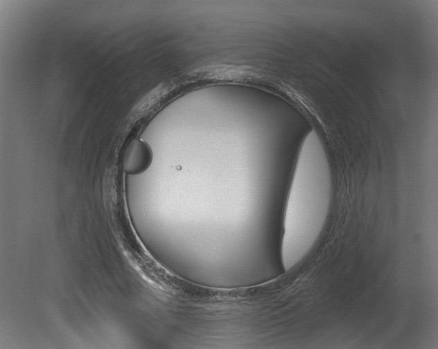X0000081320682200701111029