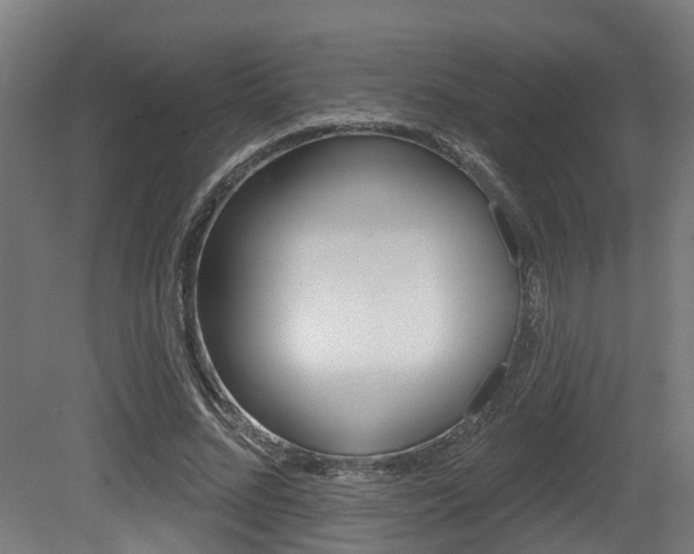 X0000081320684200701111029