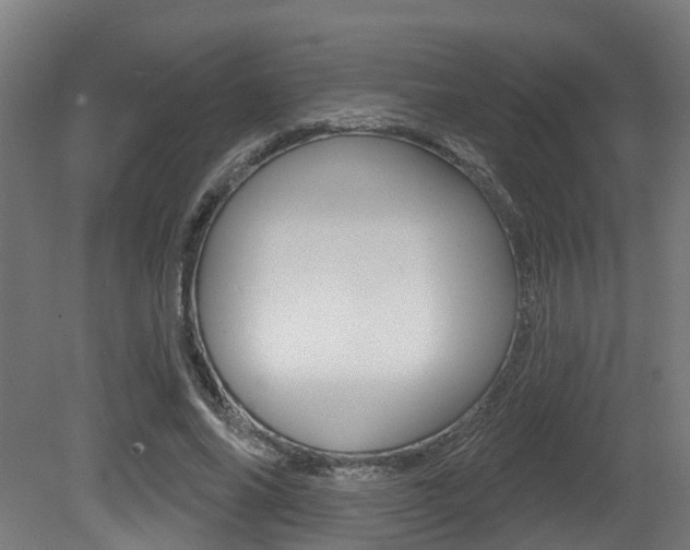 X0000081320686200701111029