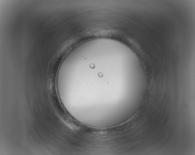 X0000081320687200701111029