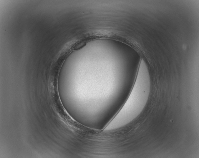 X0000081320688200701111029