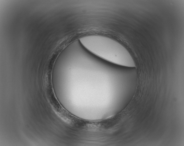 X0000081320690200701111029