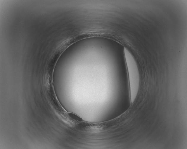 X0000081320692200701111029