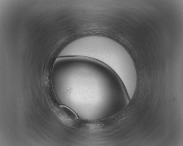 X0000081320693200701111029