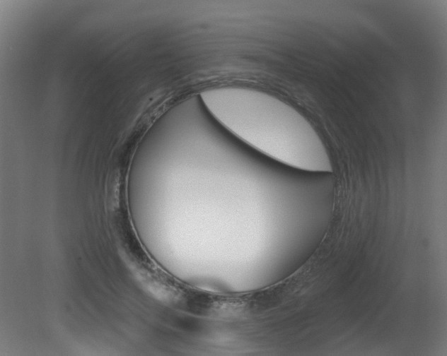 X0000081320694200701111029