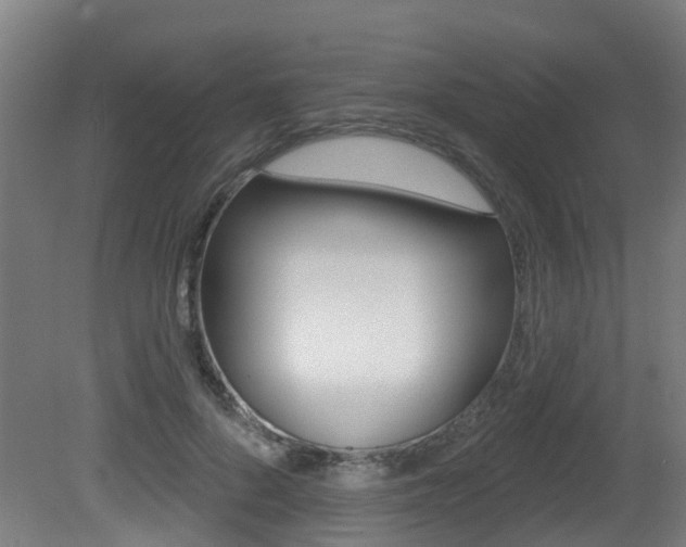 X0000081320696200701111029