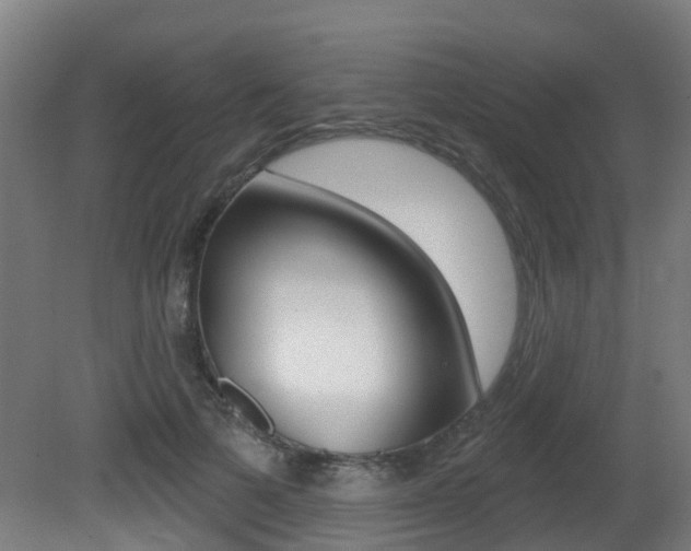 X0000081320697200701111029