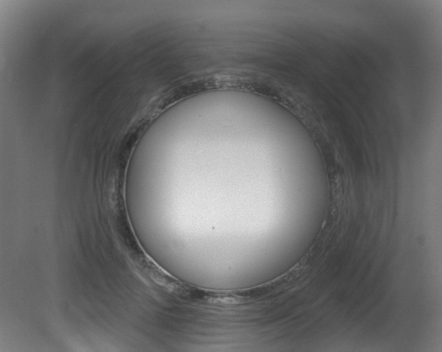 X0000081320698200701111029