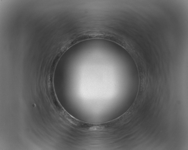 X0000081320700200701111029