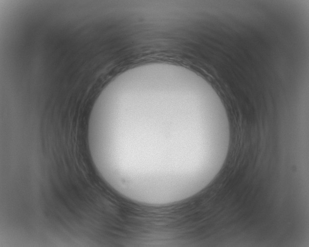 X0000081320701200701111029